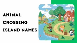 Animal Crossing Island Names