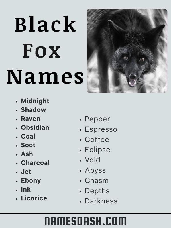 Black Fox Names