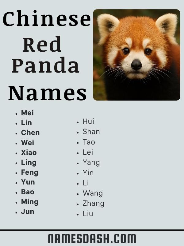 Chinese Red Panda Names