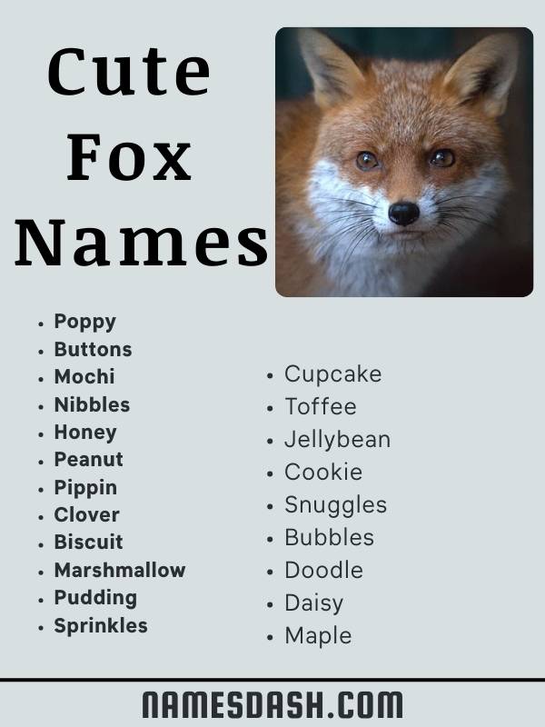 Cute Fox Names