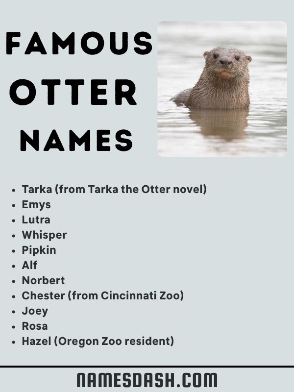 Famous Otter Names