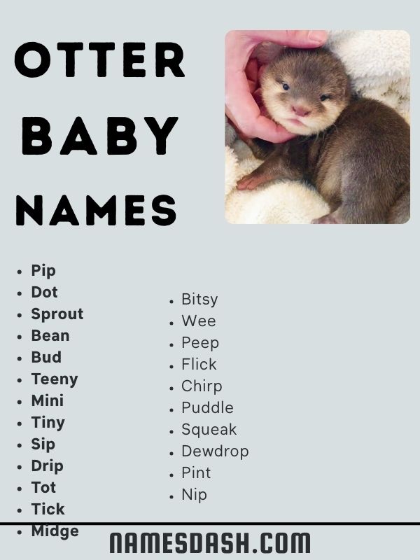 Otter Baby Names