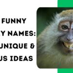800+ Funny Monkey Names: Cute, Unique & Famous Ideas