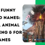 850+ Funny Island Names: Dirty, Animal Crossing & For Games
