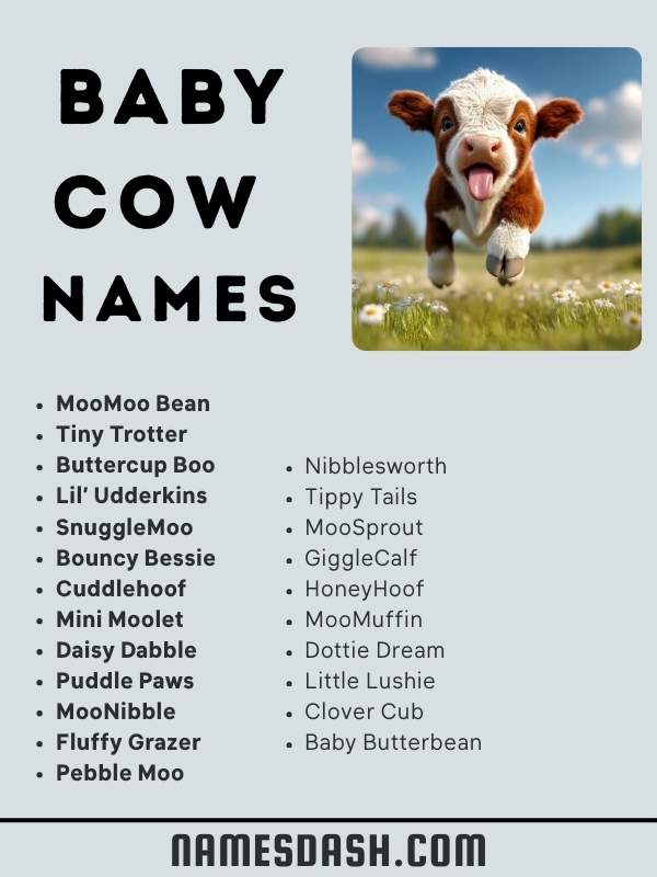 Baby Cow Names