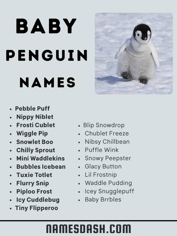 Baby Penguin Names