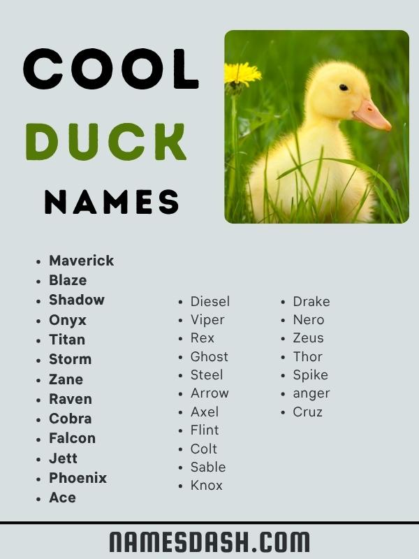 Cool Duck Names