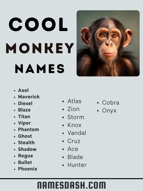 Cool Monkey Names