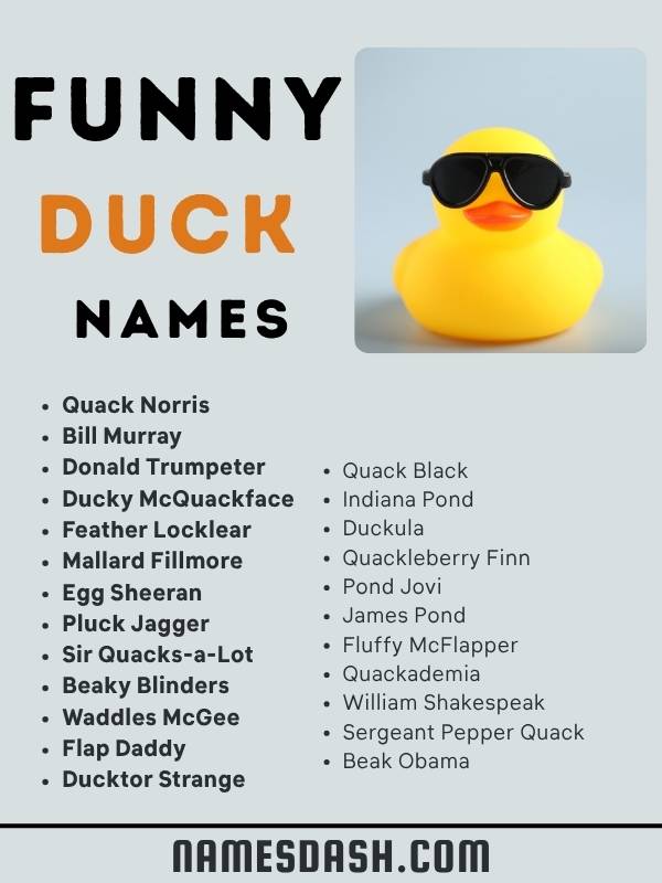 Funny Duck Names