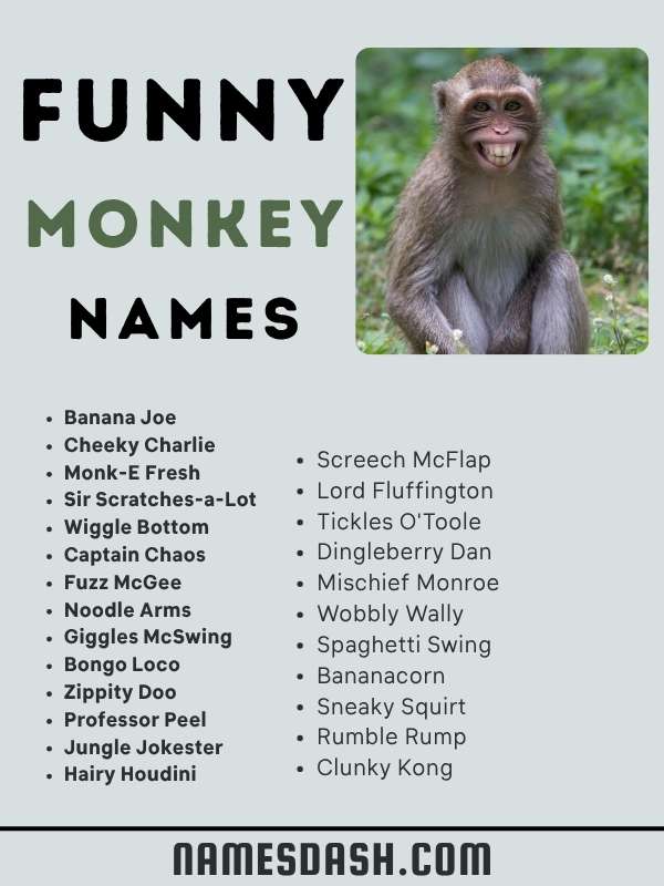 Funny Monkey Names