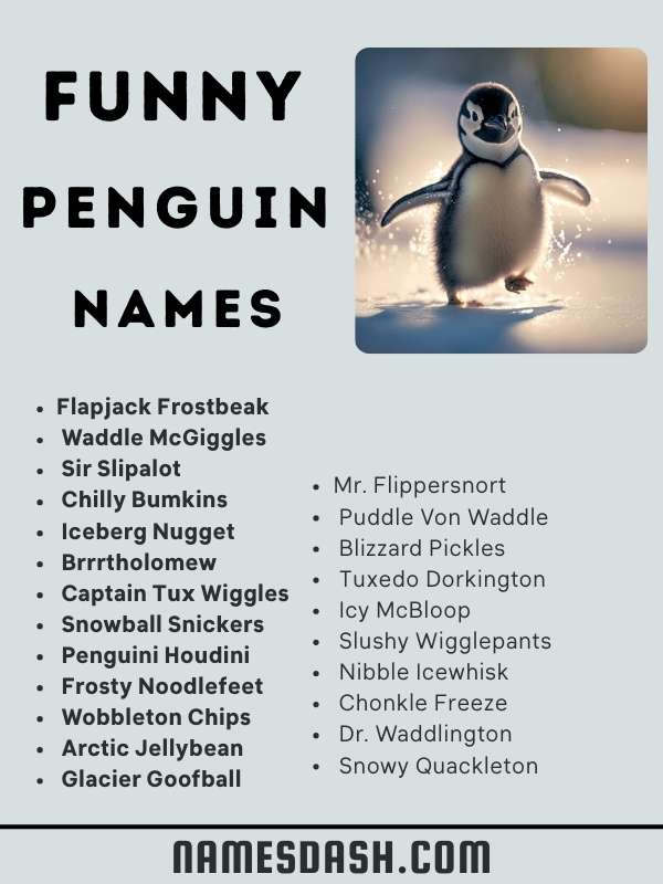 Funny Penguin Names