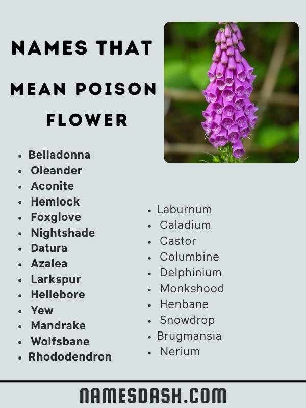 Names That Mean Poison Flower