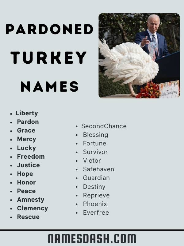 Pardoned Turkey Names