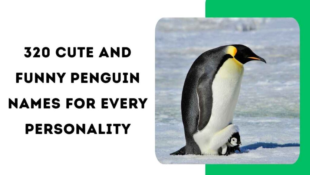 Penguin Names