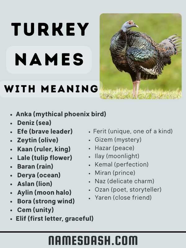 Turkey Names With Meaning