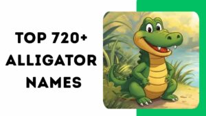 Alligator Names