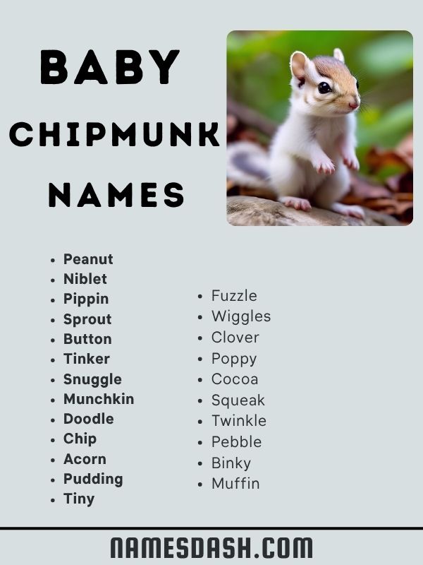 Baby Chipmunk Names