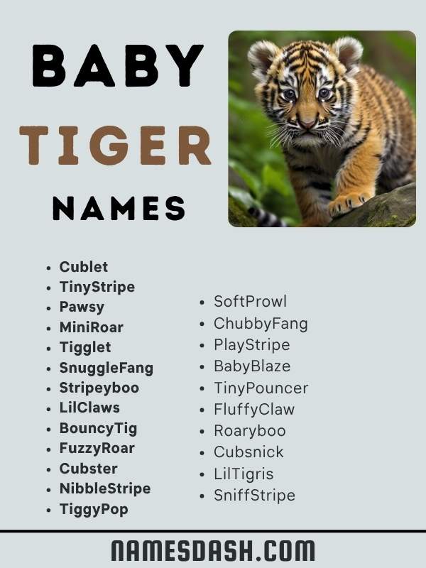 Baby Tiger Names