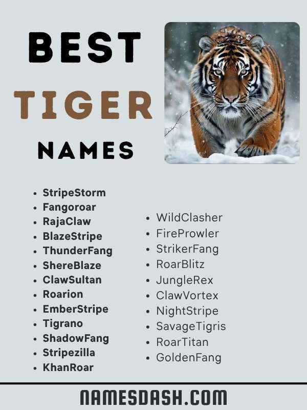 Best Tiger Names
