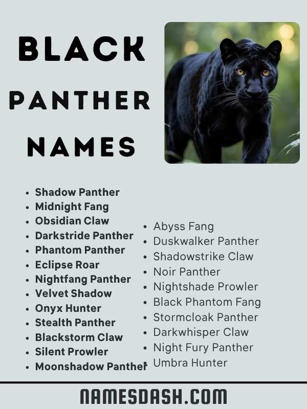 Black Panther Names