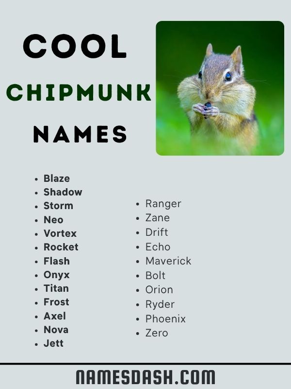 Cool Chipmunk Names