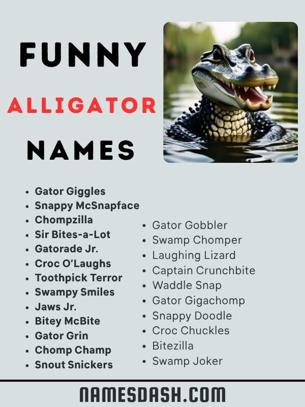 Funny Alligator Names