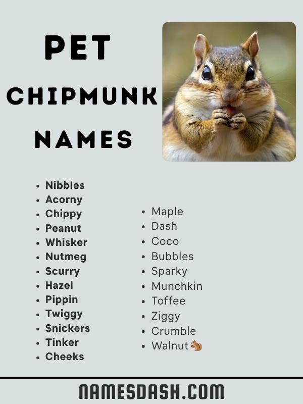 Pet Chipmunk Names