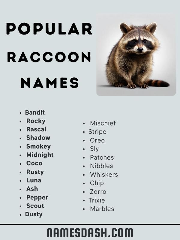Popular Raccoon Names