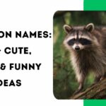 Raccoon Names: 450+ Cute, Cool & Funny Ideas