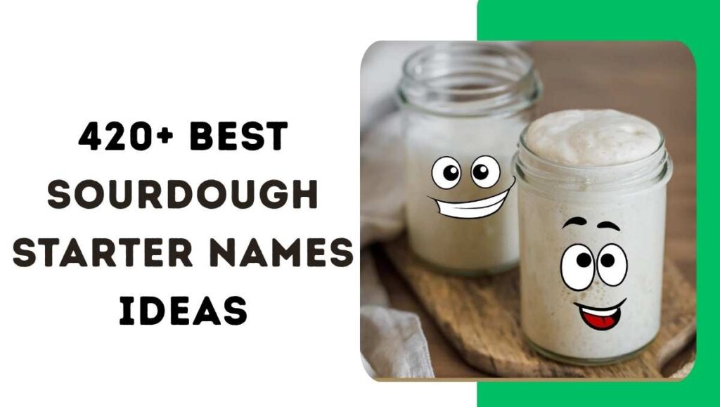Sourdough Starter Names